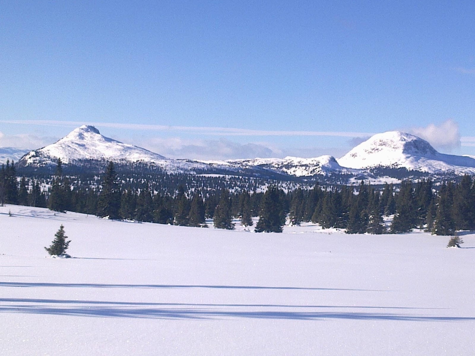 Vinteridyll. Privat bilde. Galleribilde