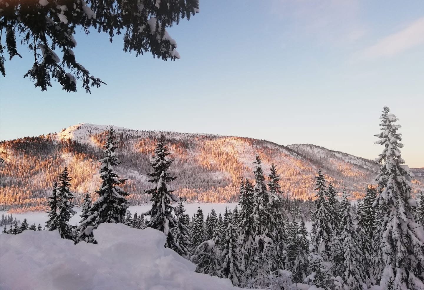 Privat bilde. Galleribilde