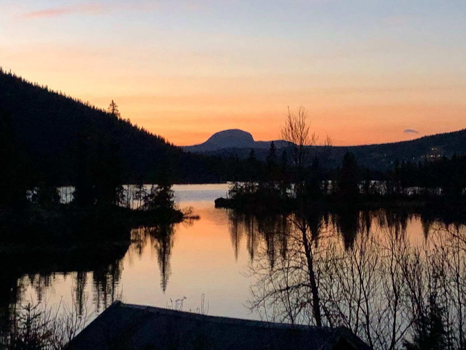 Kort veg til Steinsetfjorden. Meglers private bilde. Galleribilde