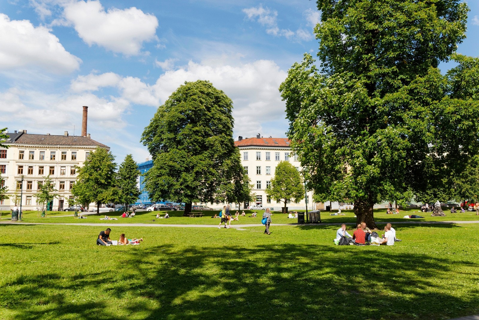 Området er preget av mange parker og grønne lunger, som gir enkel tilgang på utendørs hygge og trening. Birkelunden og Sofienbergparken ligger i umiddelbar nærhet Galleribilde