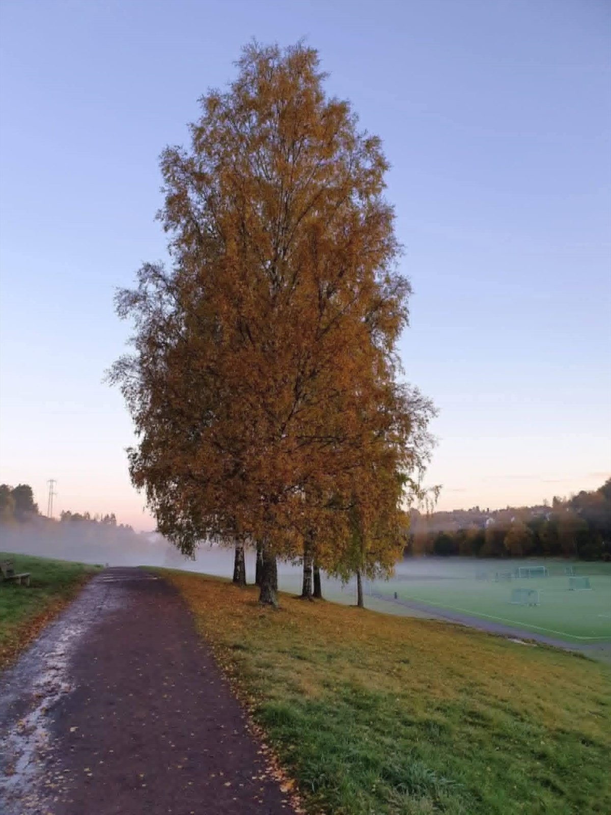 Stemning. Bildet viser gangveien rett nedfor boligen. Galleribilde