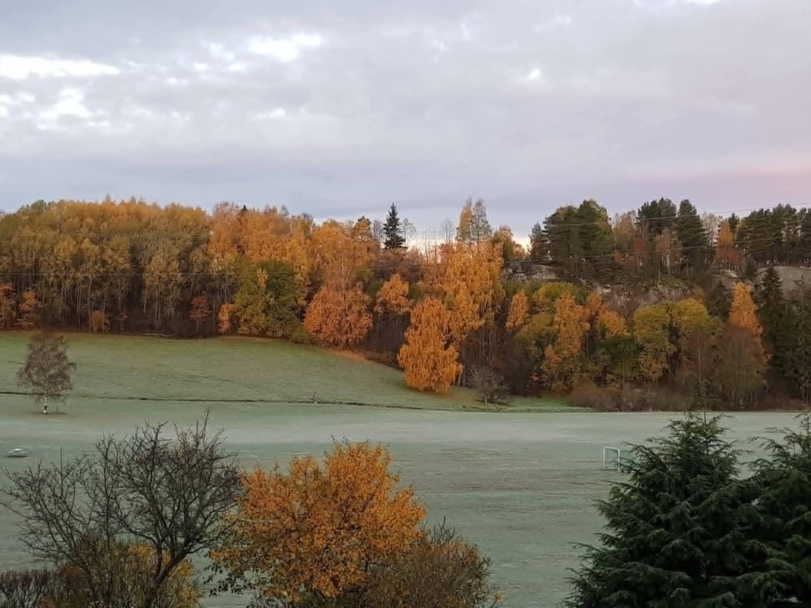 Stemning. Bildet viser utsikt fra boligen en flott høstdag. Galleribilde