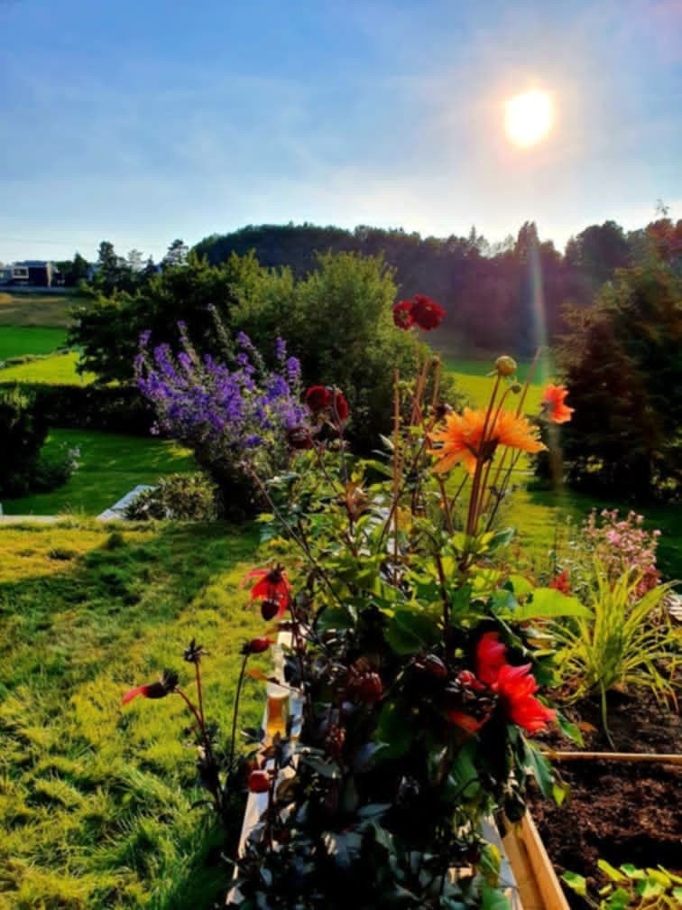 Pent beplantet. Galleribilde