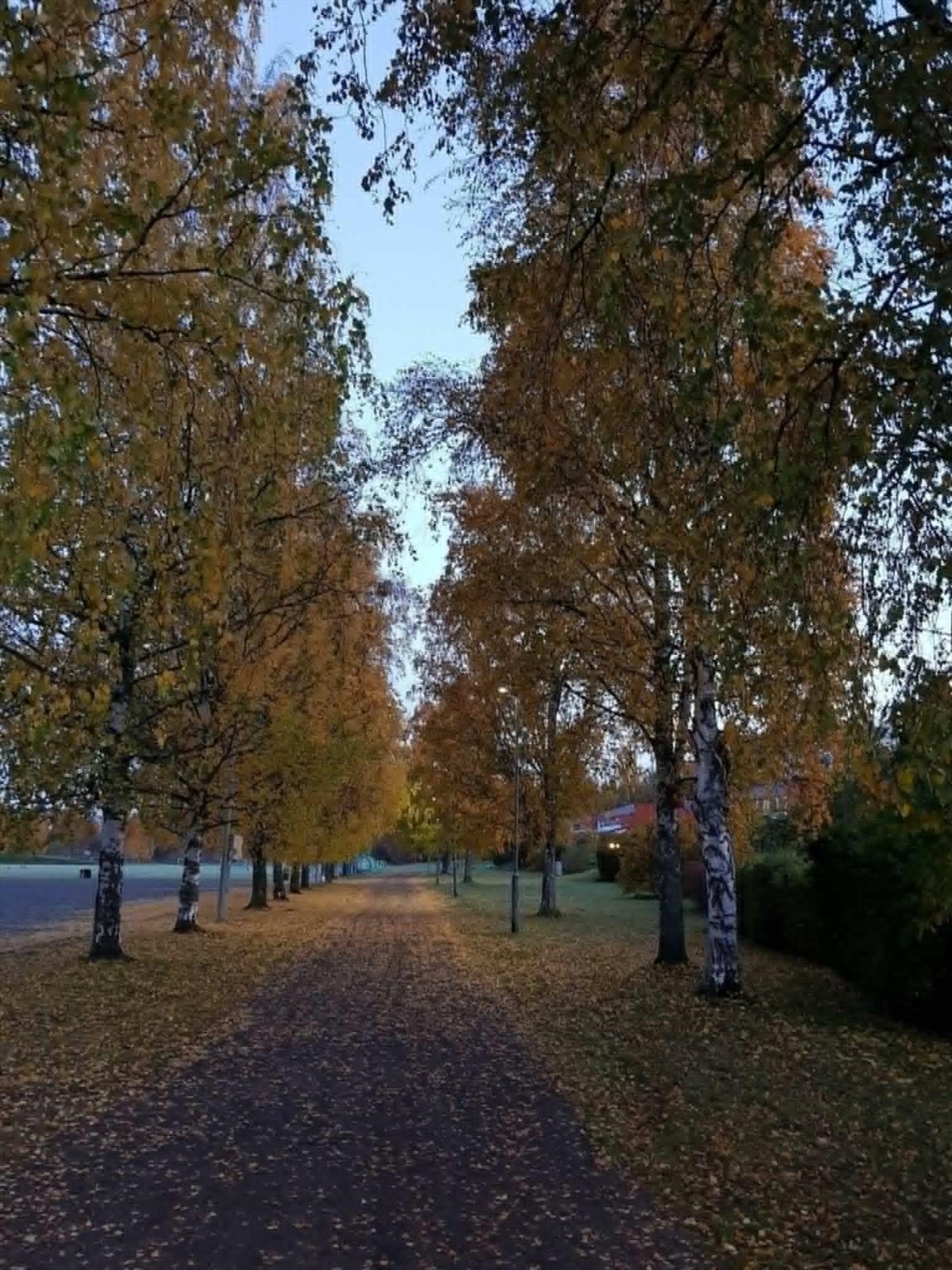 Stemning. Bildet viser gangveien rett nedfor boligen. Galleribilde