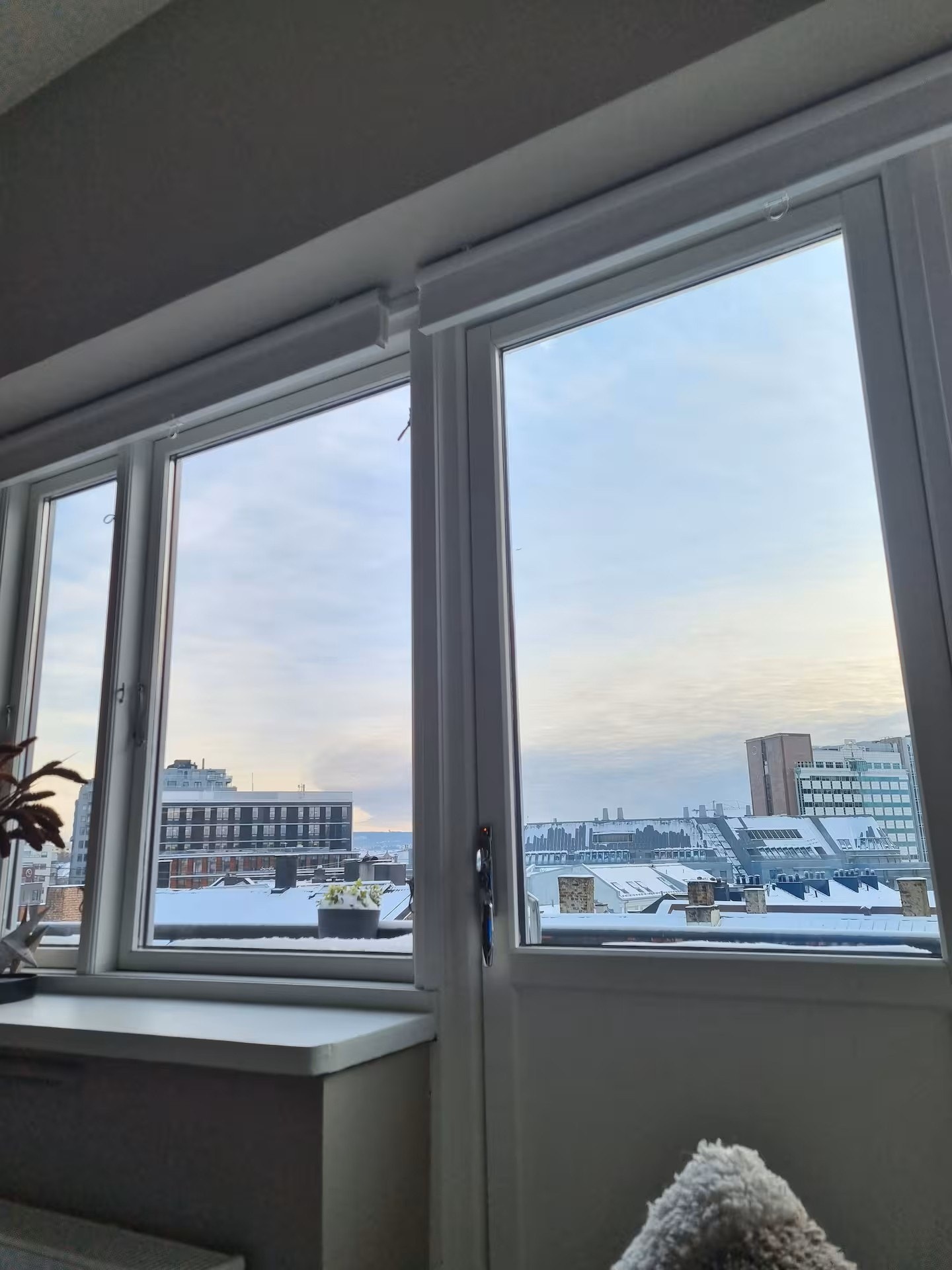 Utsikt fra stuen Galleribilde