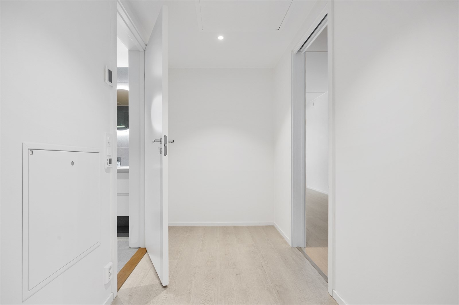 Fra entreen er det direkte tilgang til badet og videre inn til stue og kjøkken. Galleribilde