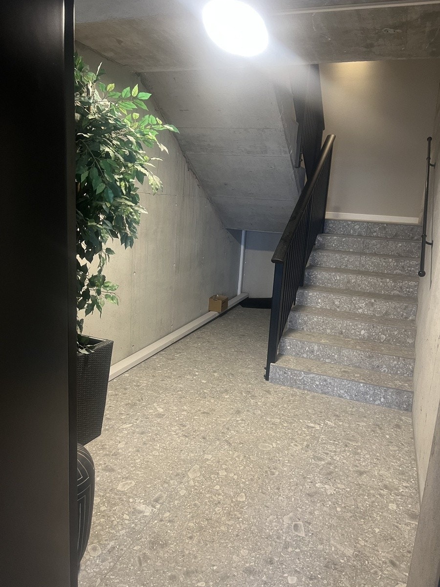 Trappe oppgang Galleribilde