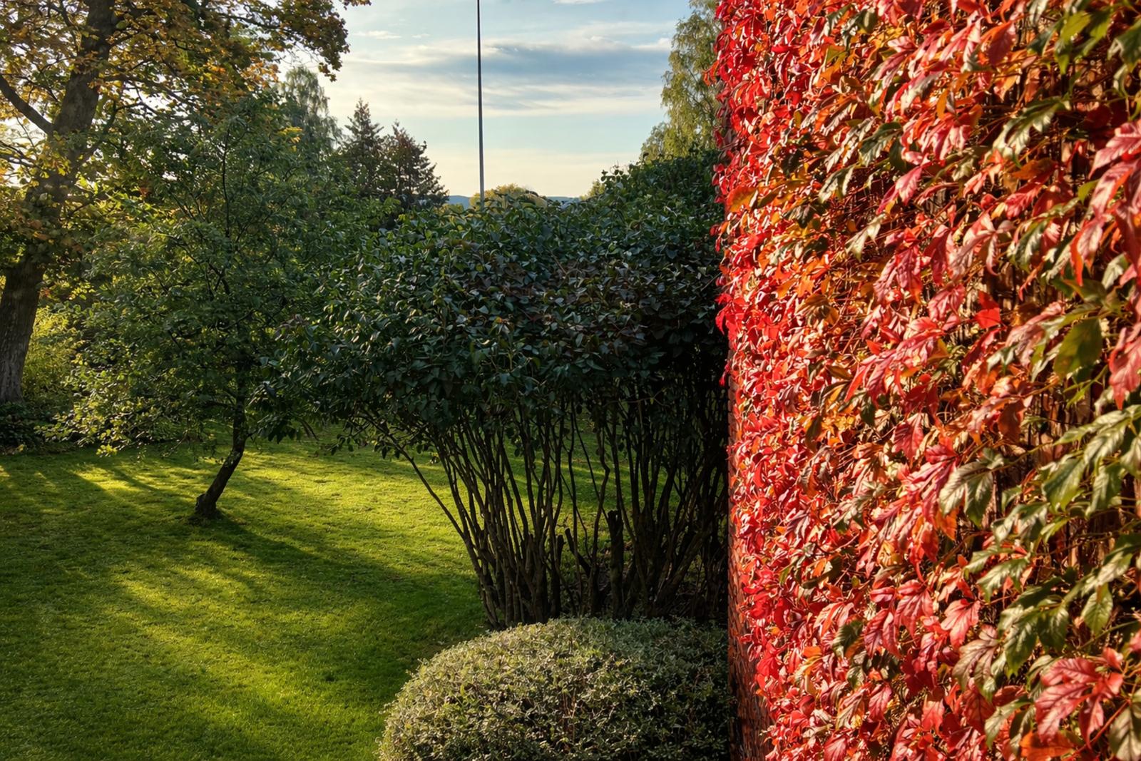 Høstfarger fra hovedsoverrommet. (Redigert med KI). Galleribilde