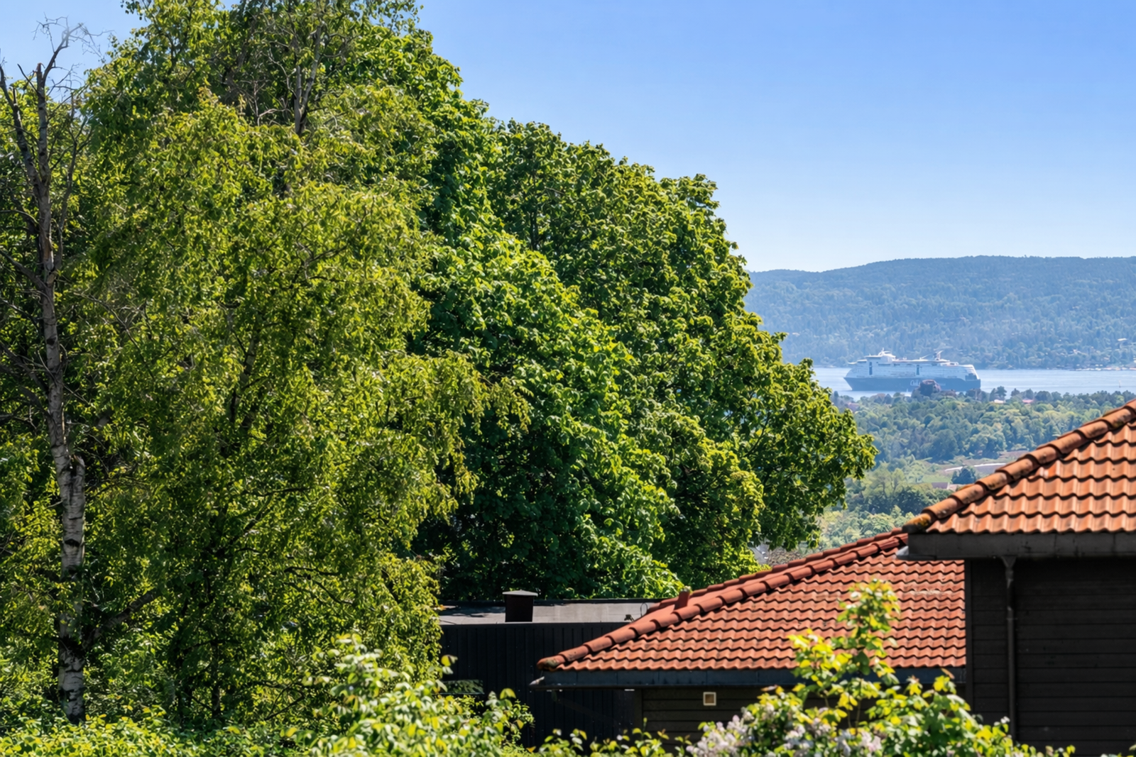 Eiendommen har utsikt om vinteren og sjøgløtt om sommeren. (Redigert med KI). Galleribilde