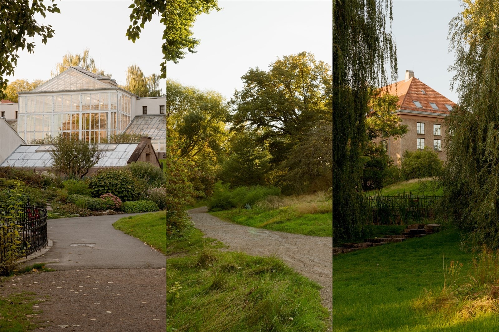 Botanisk hage med naturhistorisk museum ligger få skritt fra leilitgheten, og er ypperlig både for hygge og trening! Galleribilde