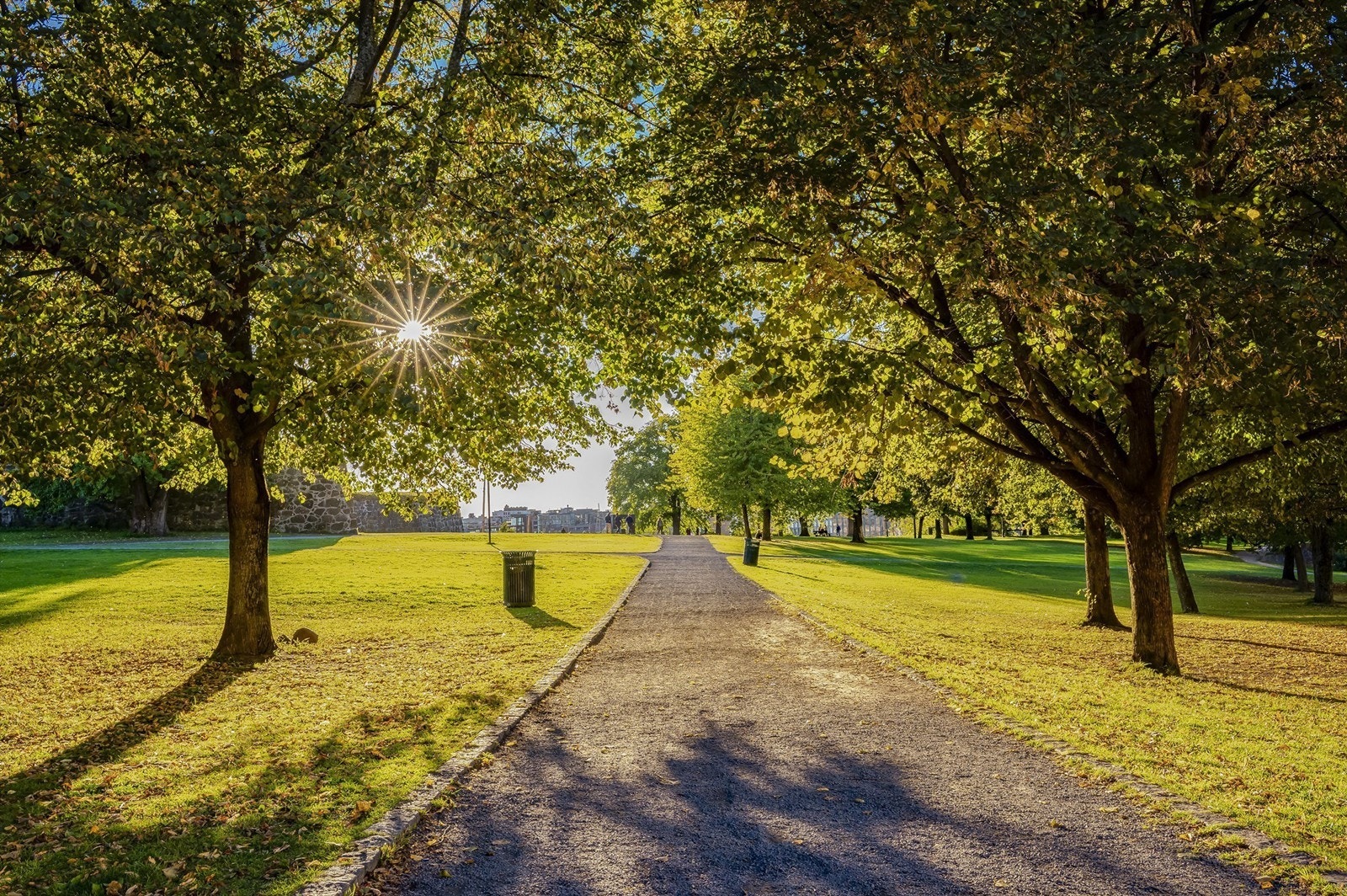 Nærmeste park er altså like over gaten. Aker Brygge og Tjuvholmen i bakgrunnen. Galleribilde