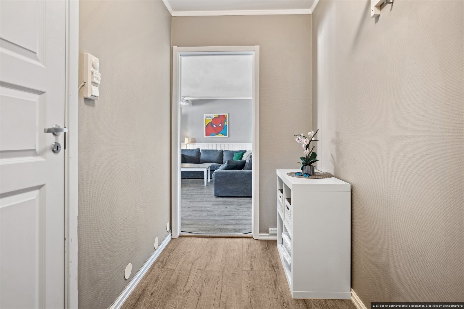 Romslig entre med adkomst til bad og stue/spisestue. Galleribilde