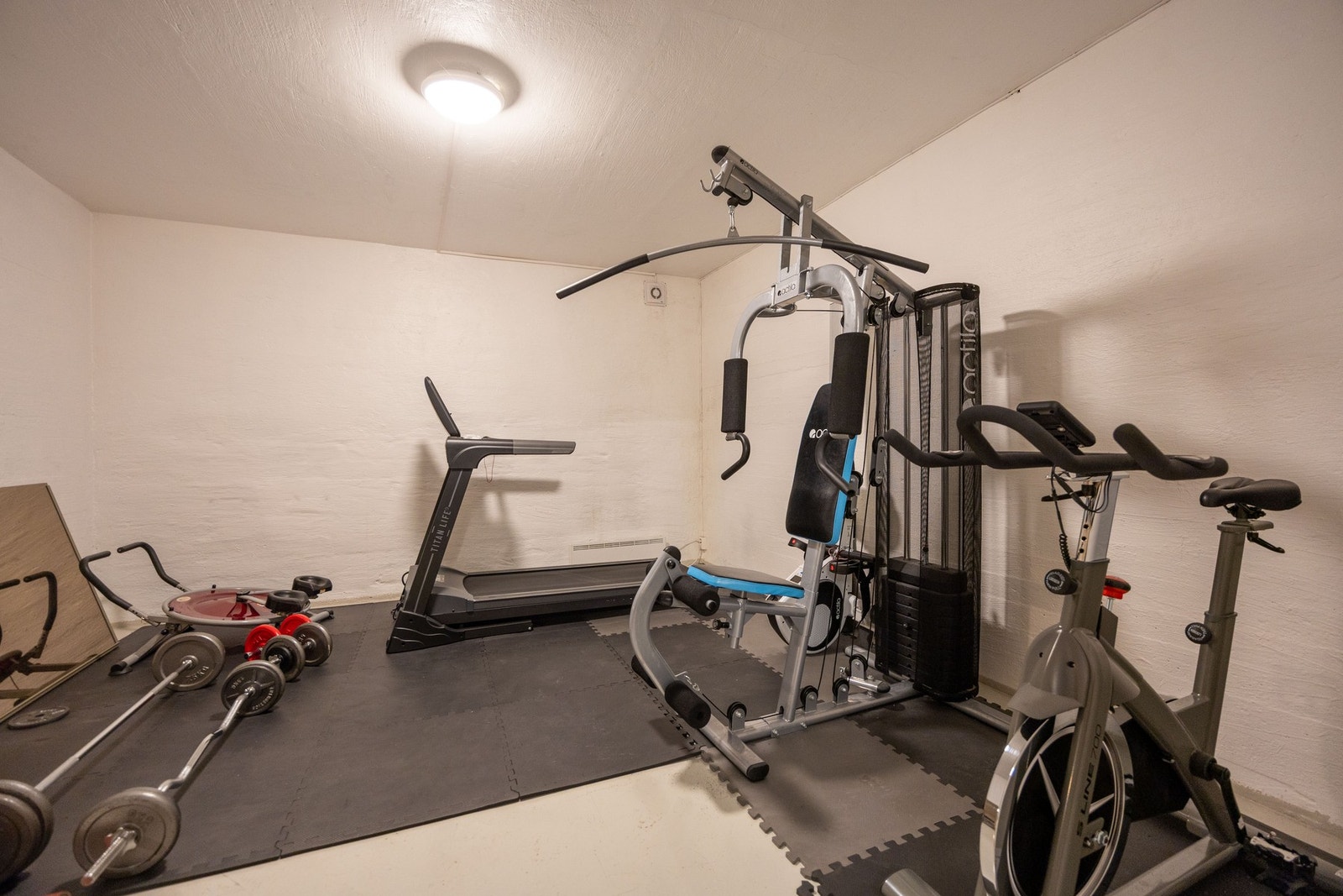 Felles trimrom. Galleribilde