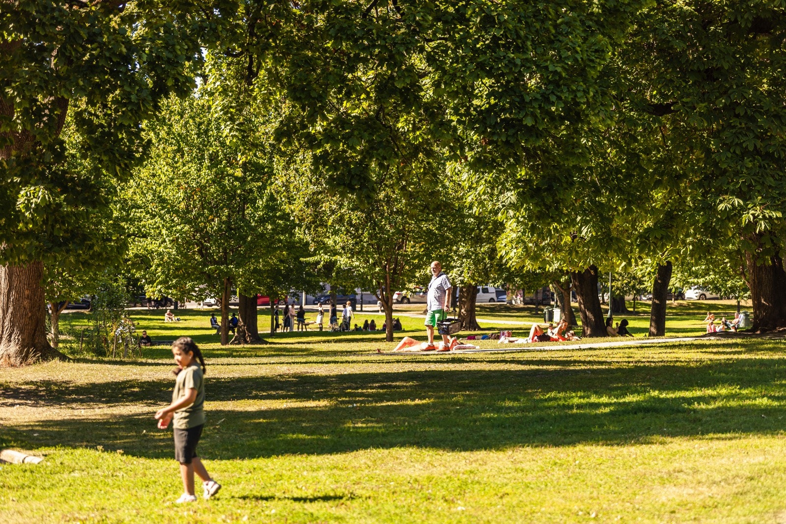 Sofienbergparken Galleribilde