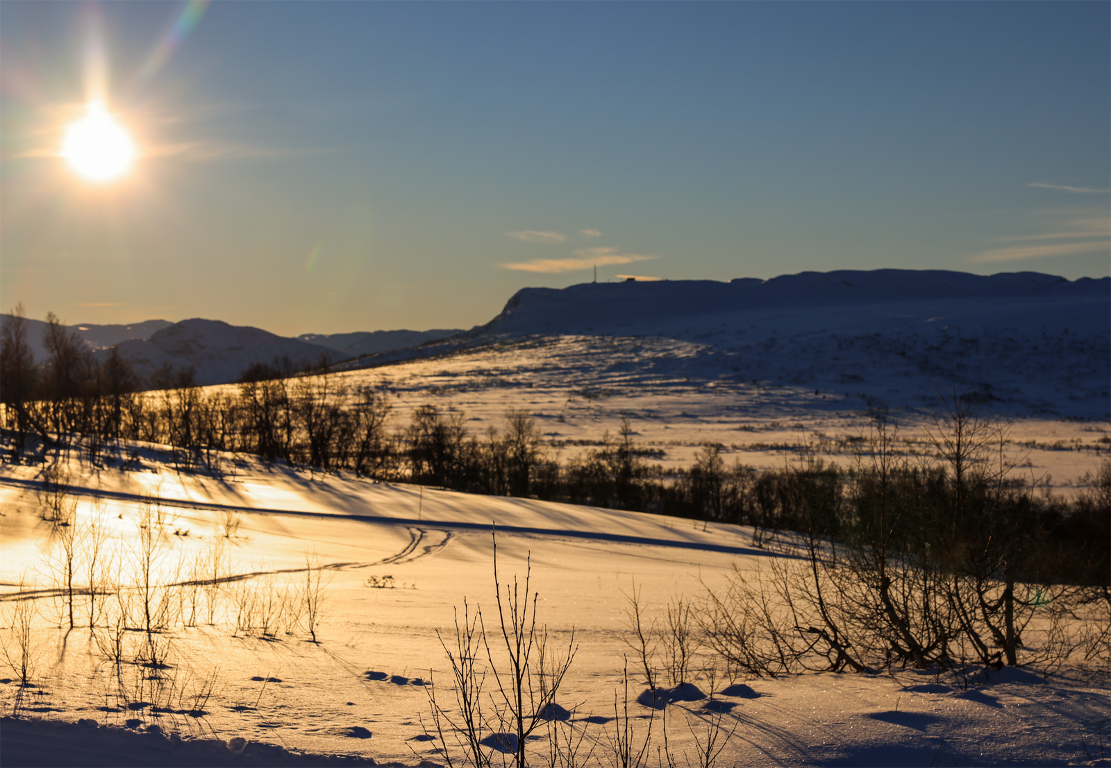 - Velkommen til Fjellbøkneika 26 - Selgers bilde Galleribilde