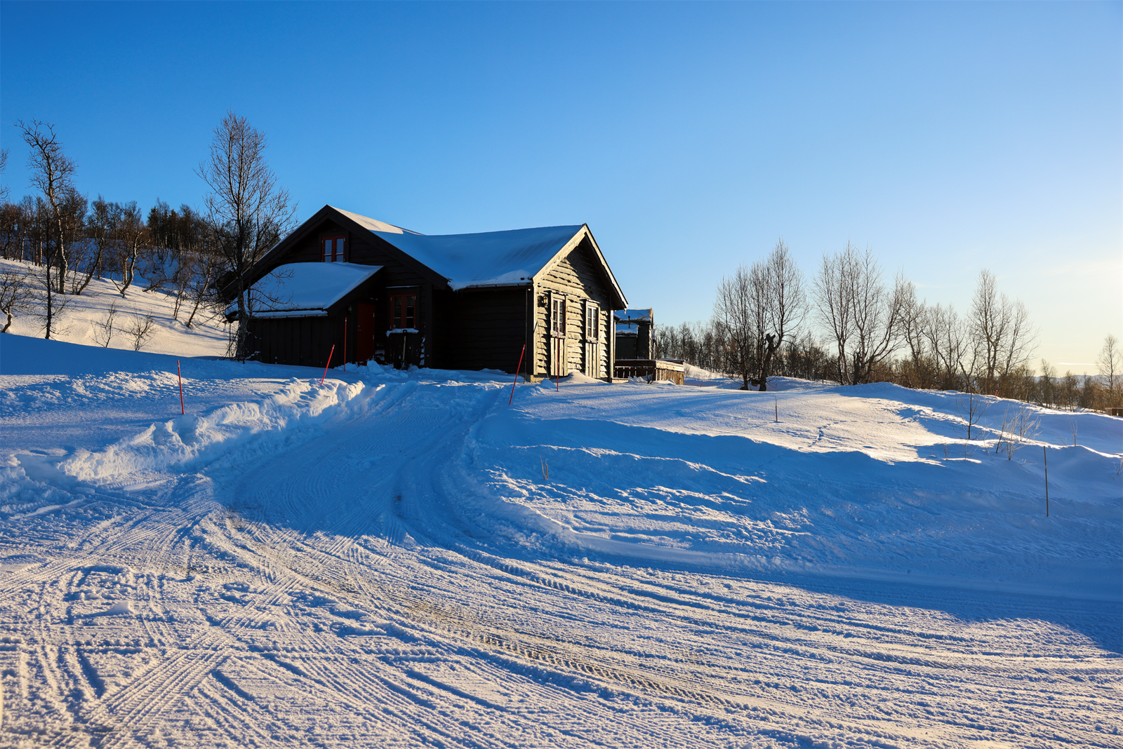 - Velkommen til Fjellbøkneika 26 - Selgers bilde Galleribilde
