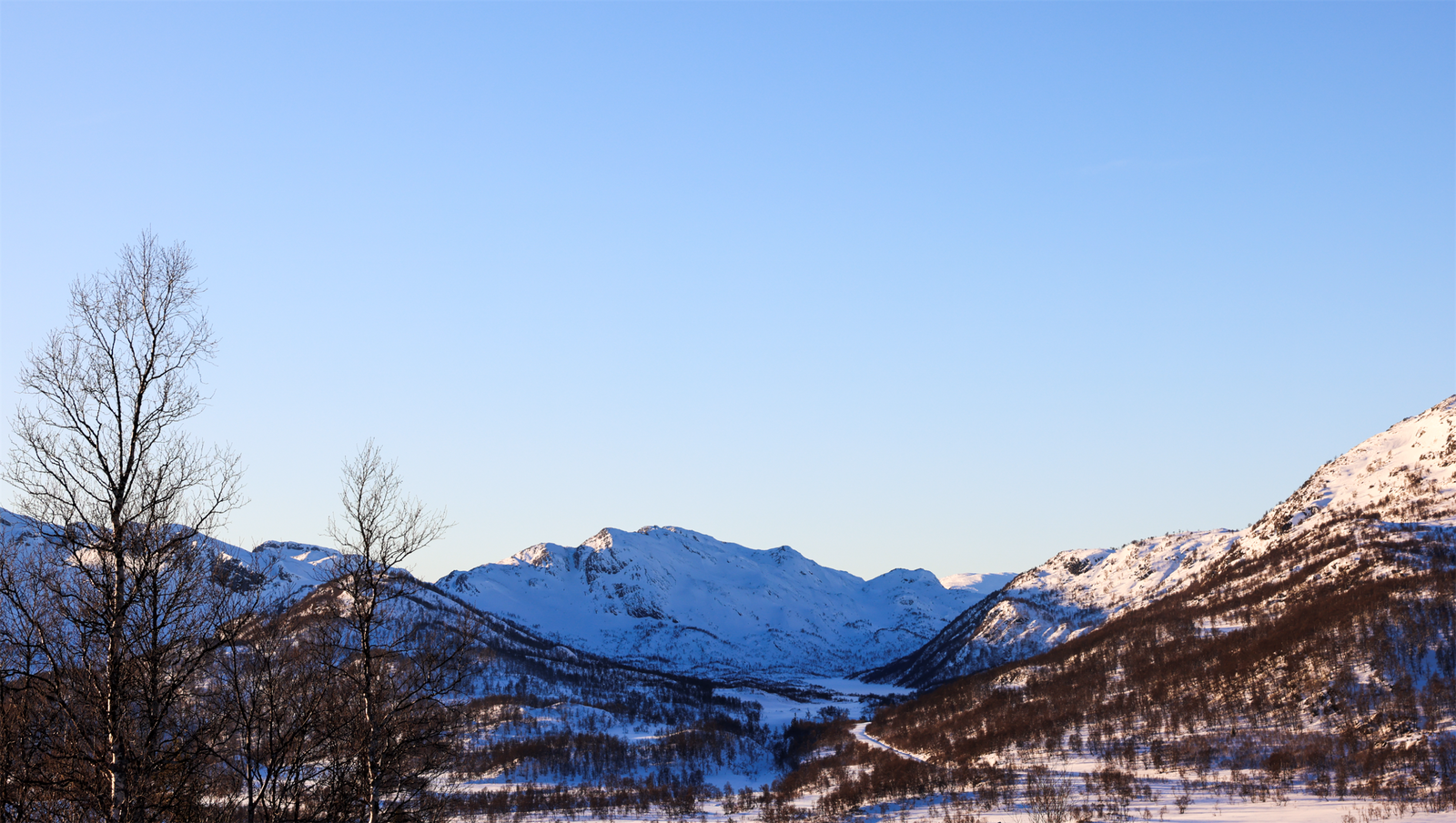 - Velkommen til Fjellbøkneika 26 - Selgers bilde Galleribilde