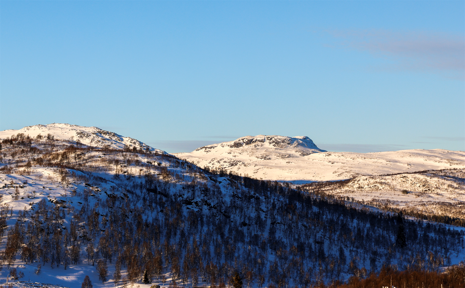 - Velkommen til Fjellbøkneika 26 - Selgers bilde Galleribilde
