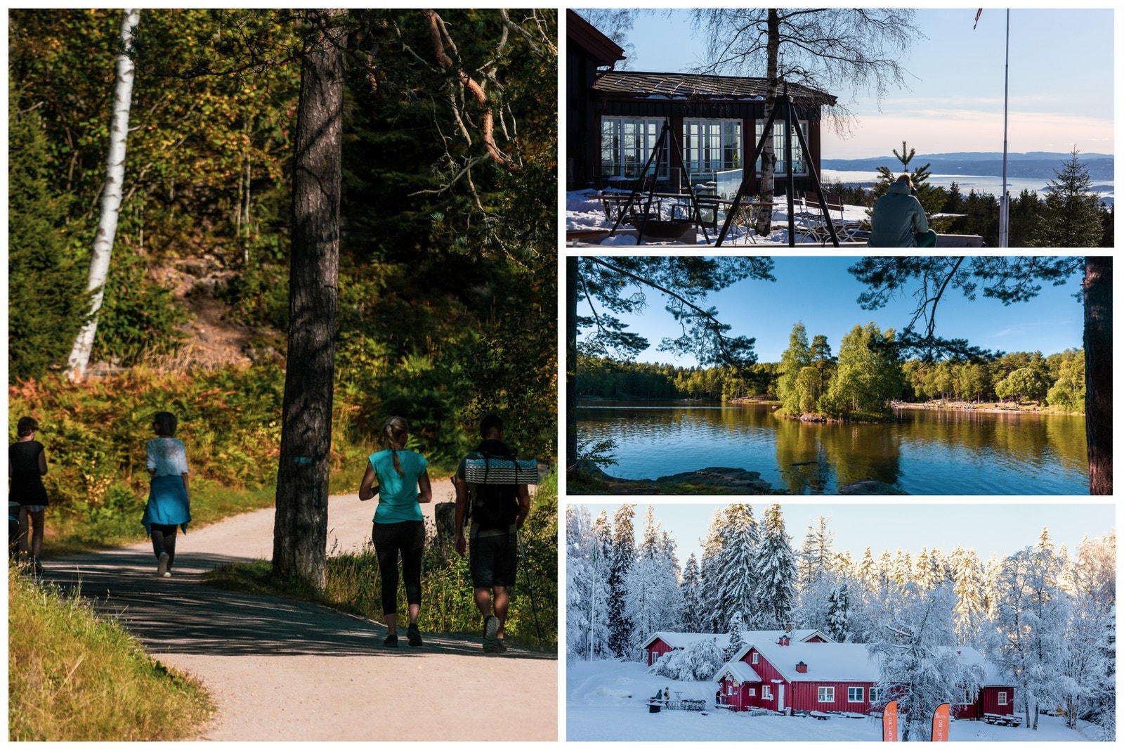 Nærområdet er innholdsrikt med mange fine gjøremål i skog og mark året rundt Galleribilde