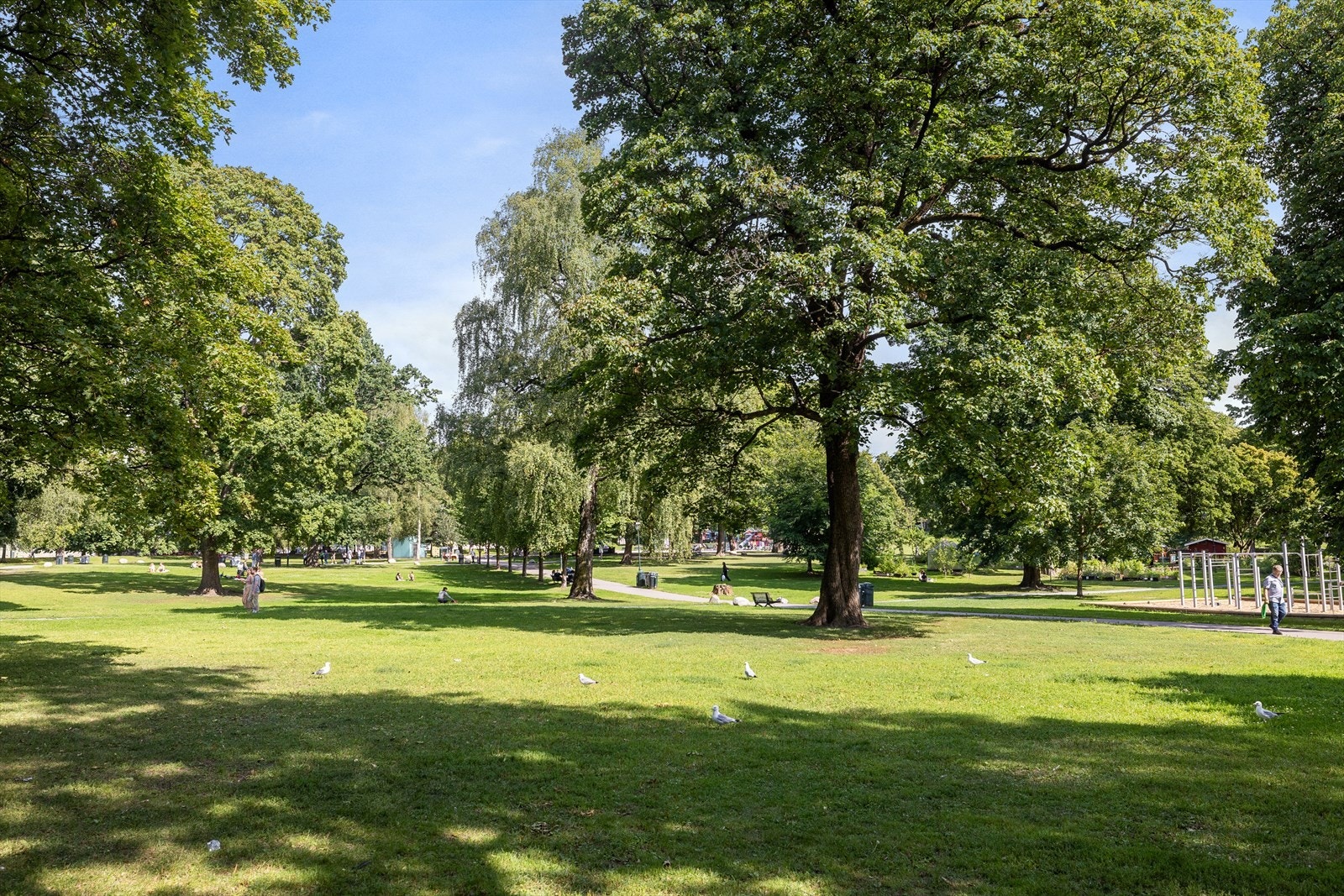 Sofienbergparken, like ved leiligheten. Galleribilde