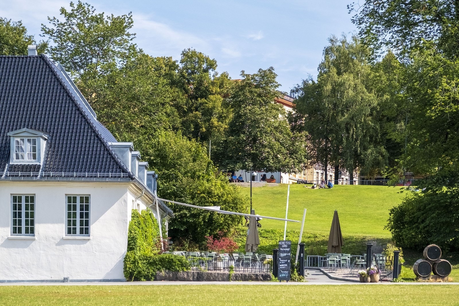 Nærområdet. Galleribilde