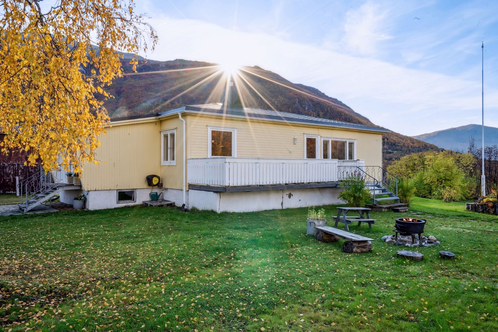 Stor hage. Galleribilde