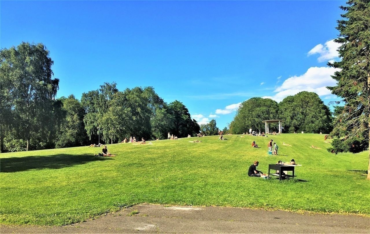 parken 15 m unna leiligheten Galleribilde