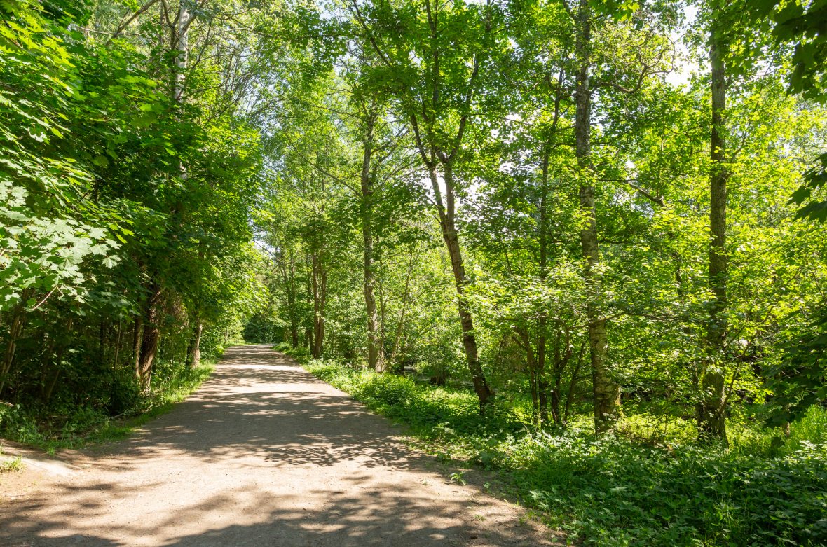 Nabolaget gir nærhet til både marka og byen, med grønne omgivelser rett utenfor leiligheten og kort kollektivvei til sentrum. Galleribilde