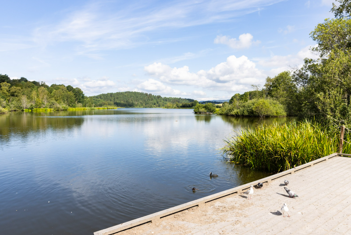 Rundt Østensjøvannet finnes gode muligheter for både gåturer og skiturer. Galleribilde