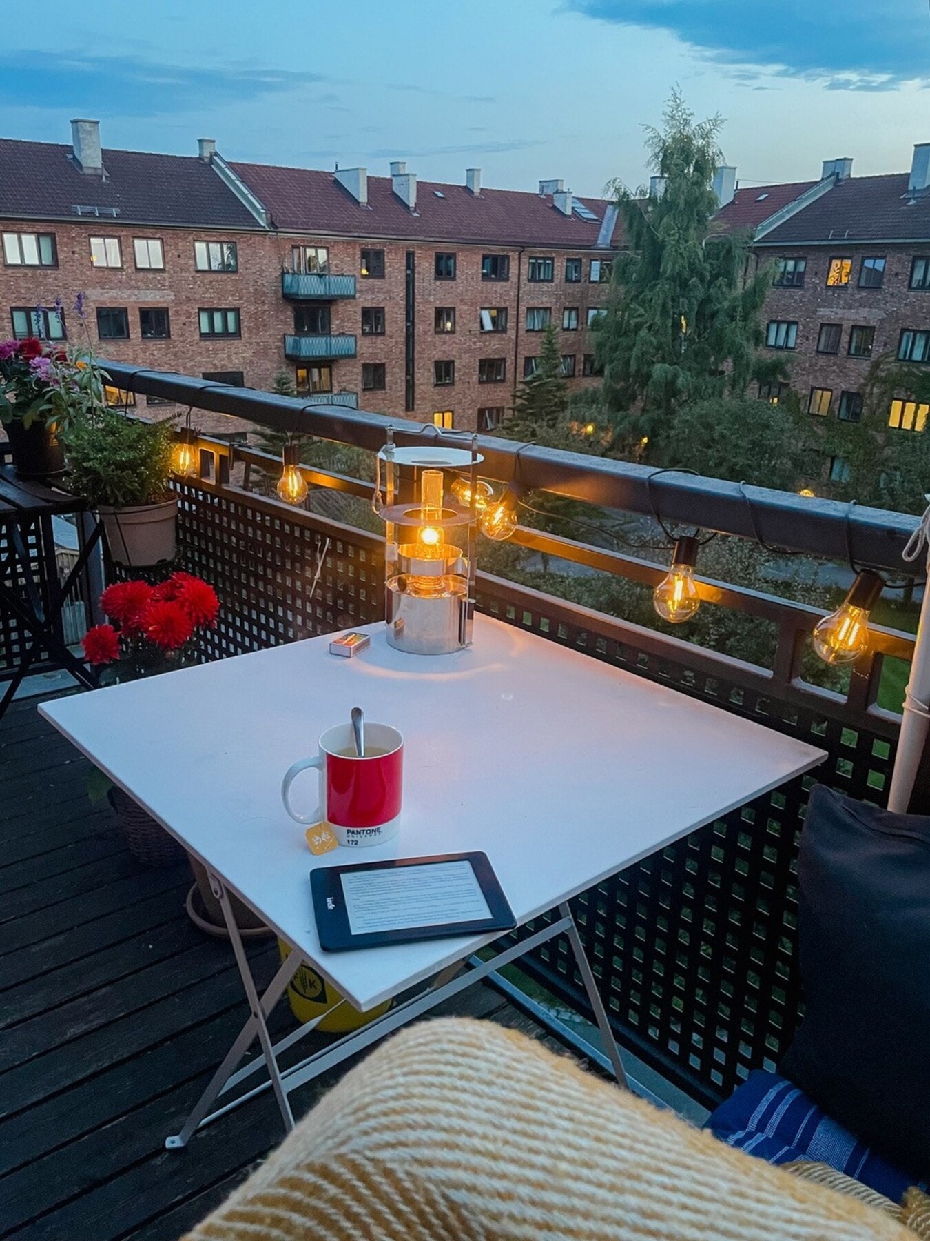 Selgers egne bilder fra sommeren. Galleribilde