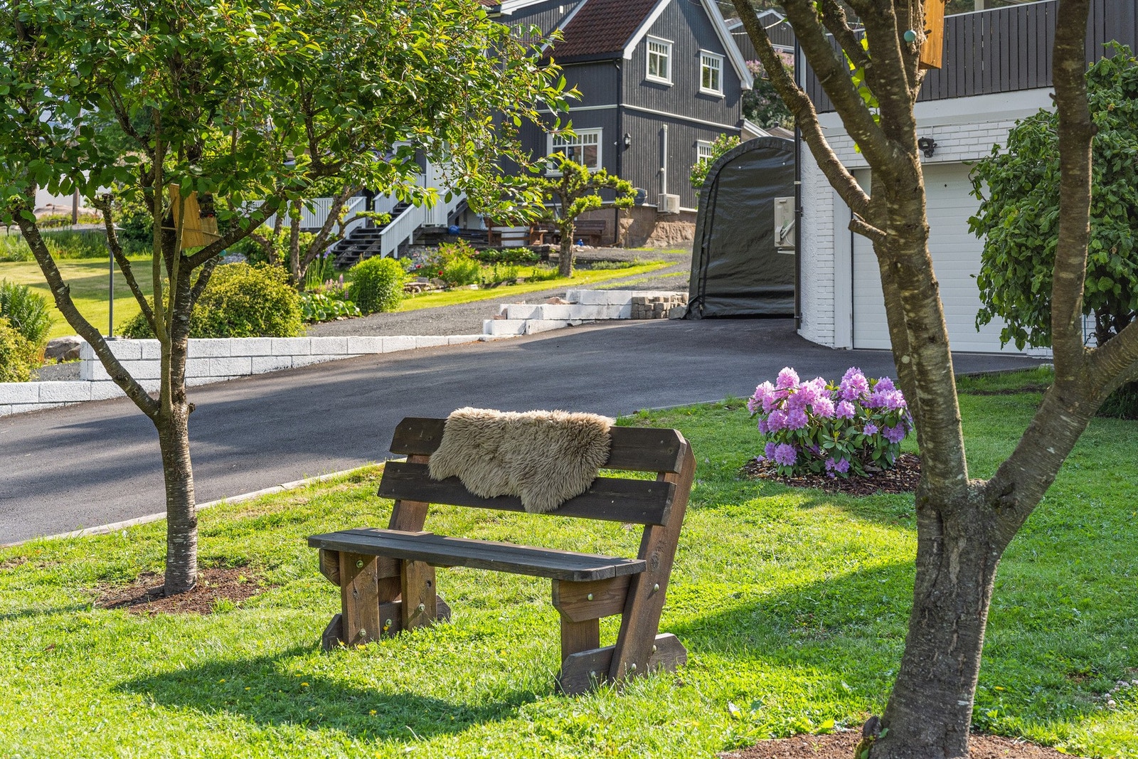 I 2023 ble det plantet diverse frukttrær og busker i hagen. Galleribilde