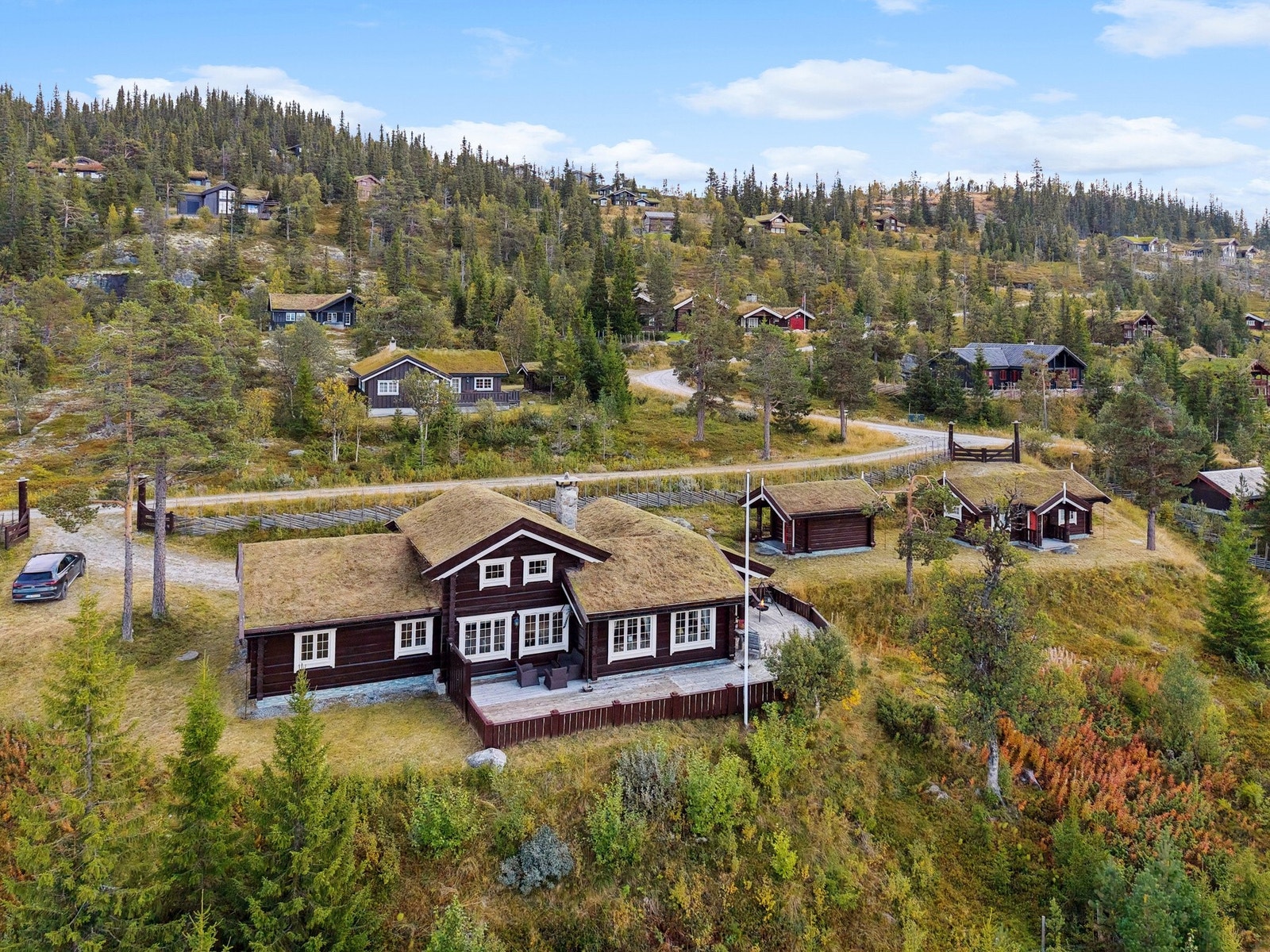 Høst i Tiriltungevegen. Galleribilde