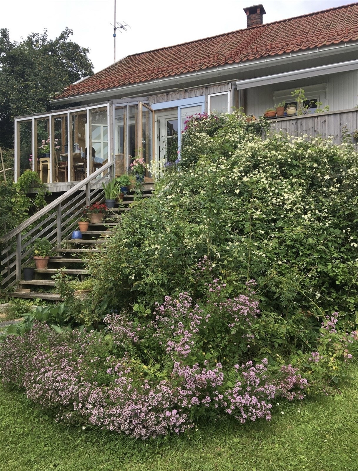 Selgers private bilder. Galleribilde