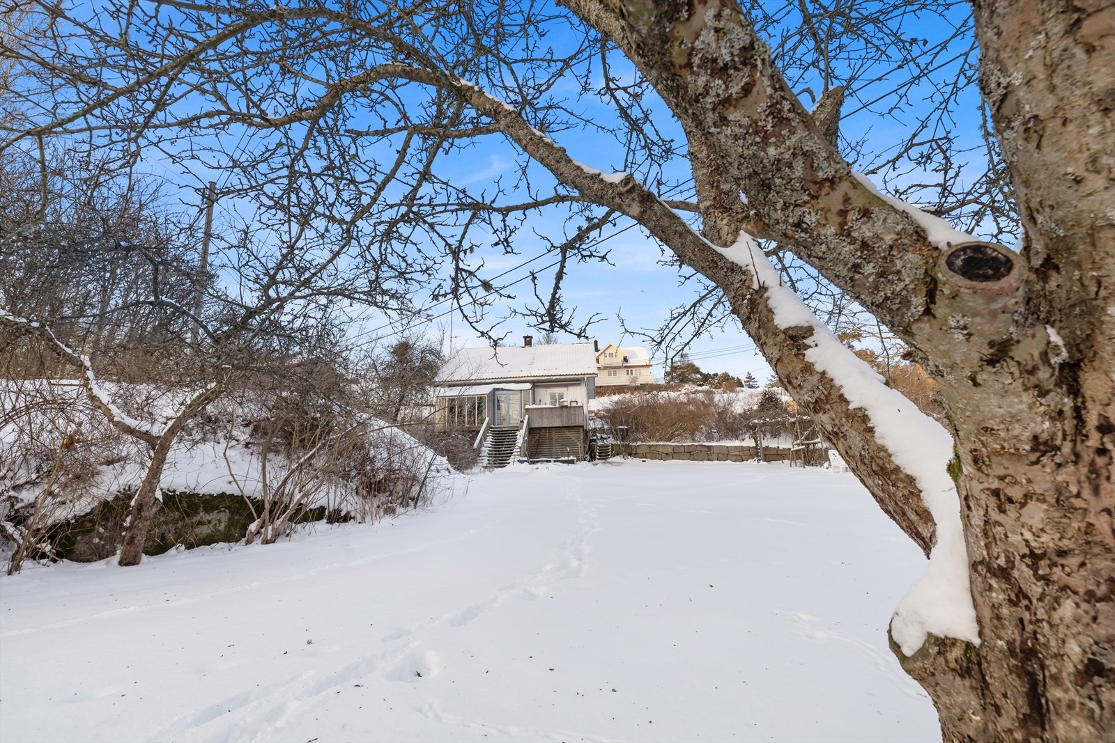 Skrående tomt, tomten er opparbeidet med gressplen, busker og beplantning. Galleribilde