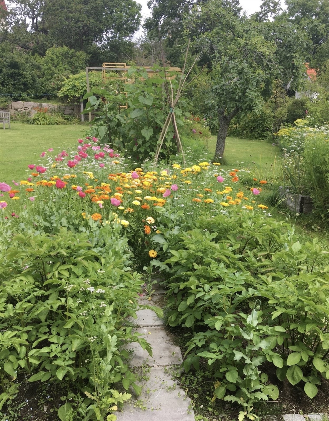 Selgers private bilder. Galleribilde