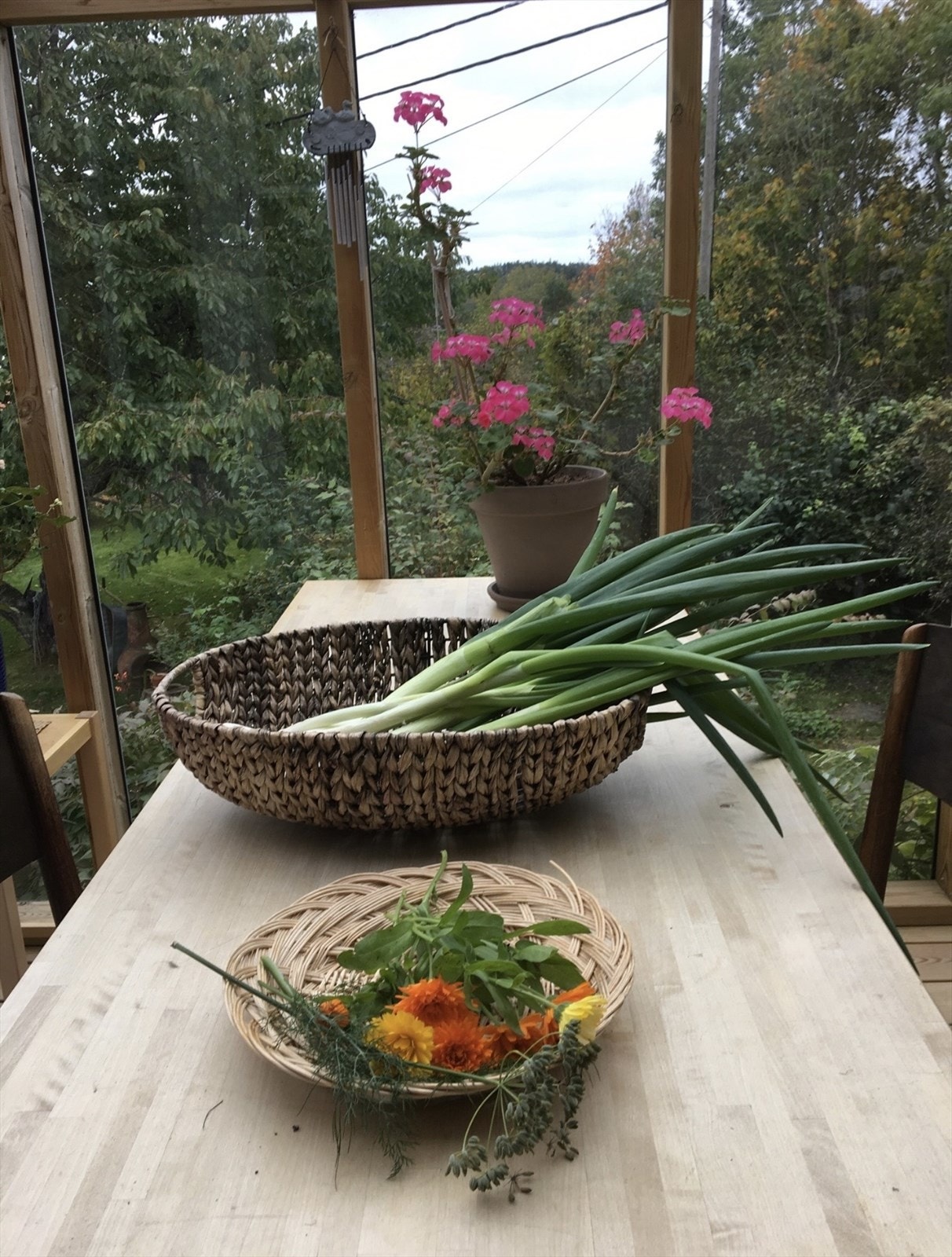 Selgers private bilder. Galleribilde