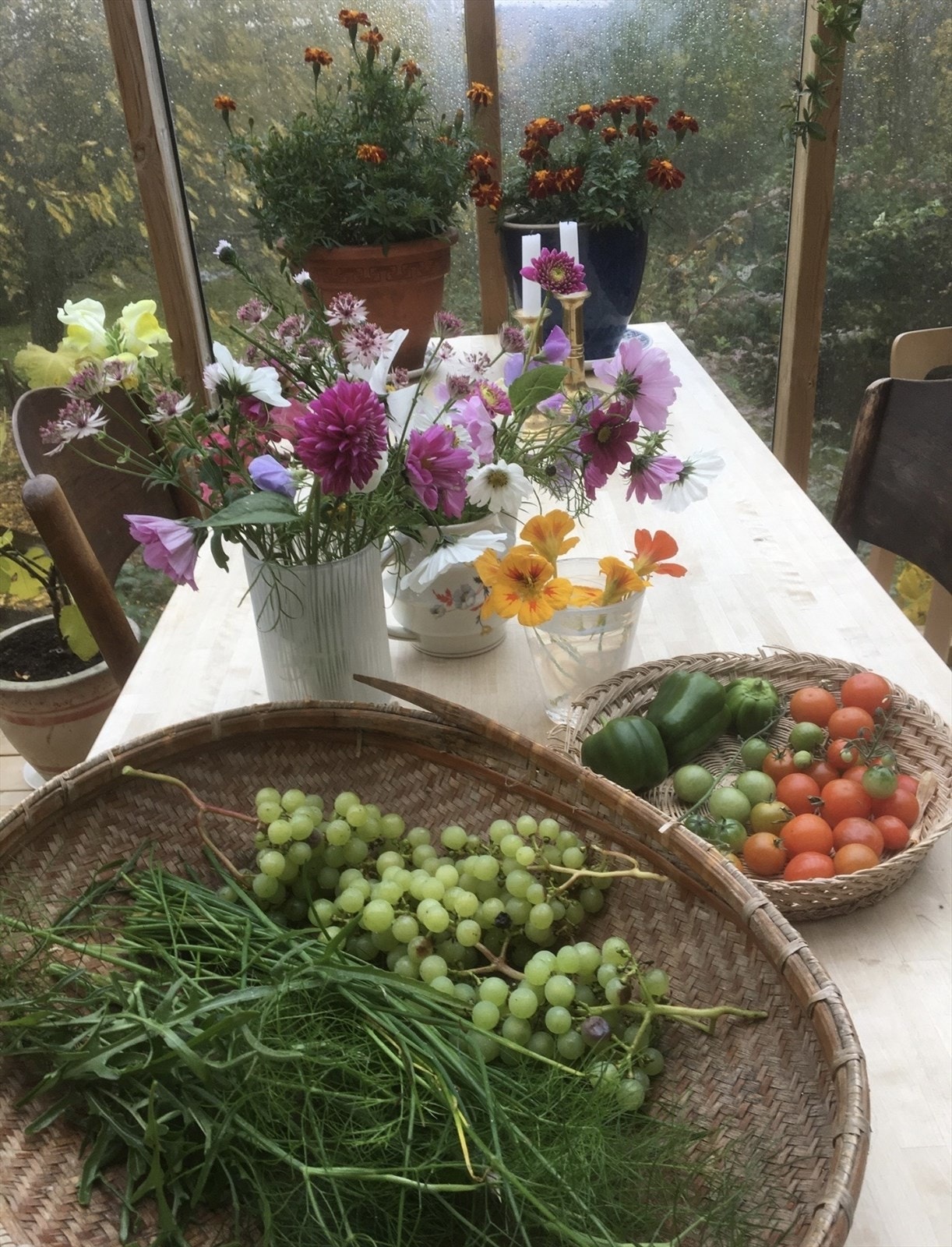 Selgers private bilder. Galleribilde