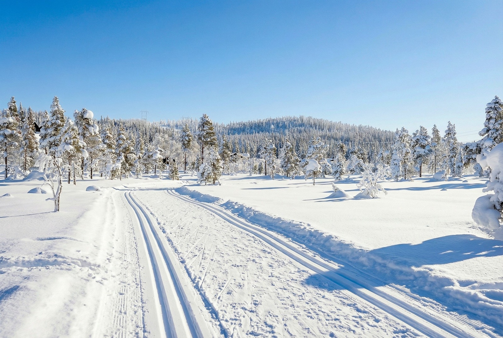 Umiddelbar nærhet til storslått natur og et av Østlandets flotteste løypenett Galleribilde