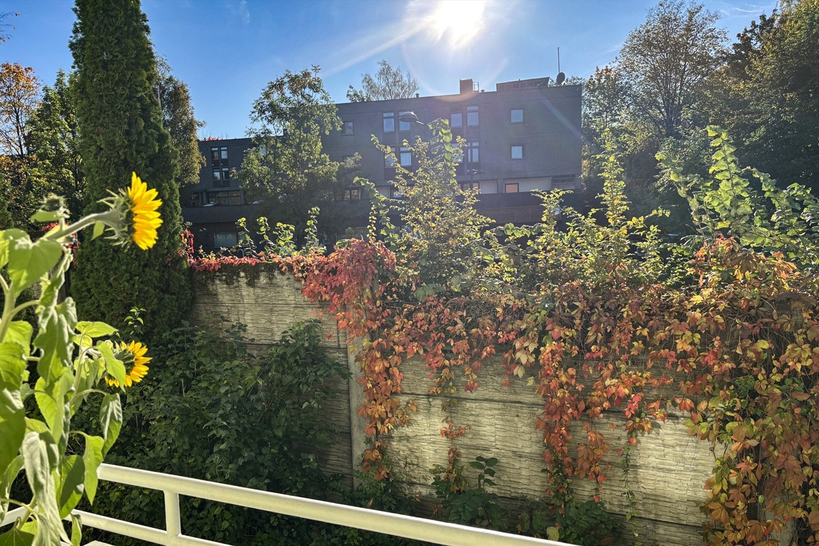 Her blir det frodig på sommerstid! Galleribilde