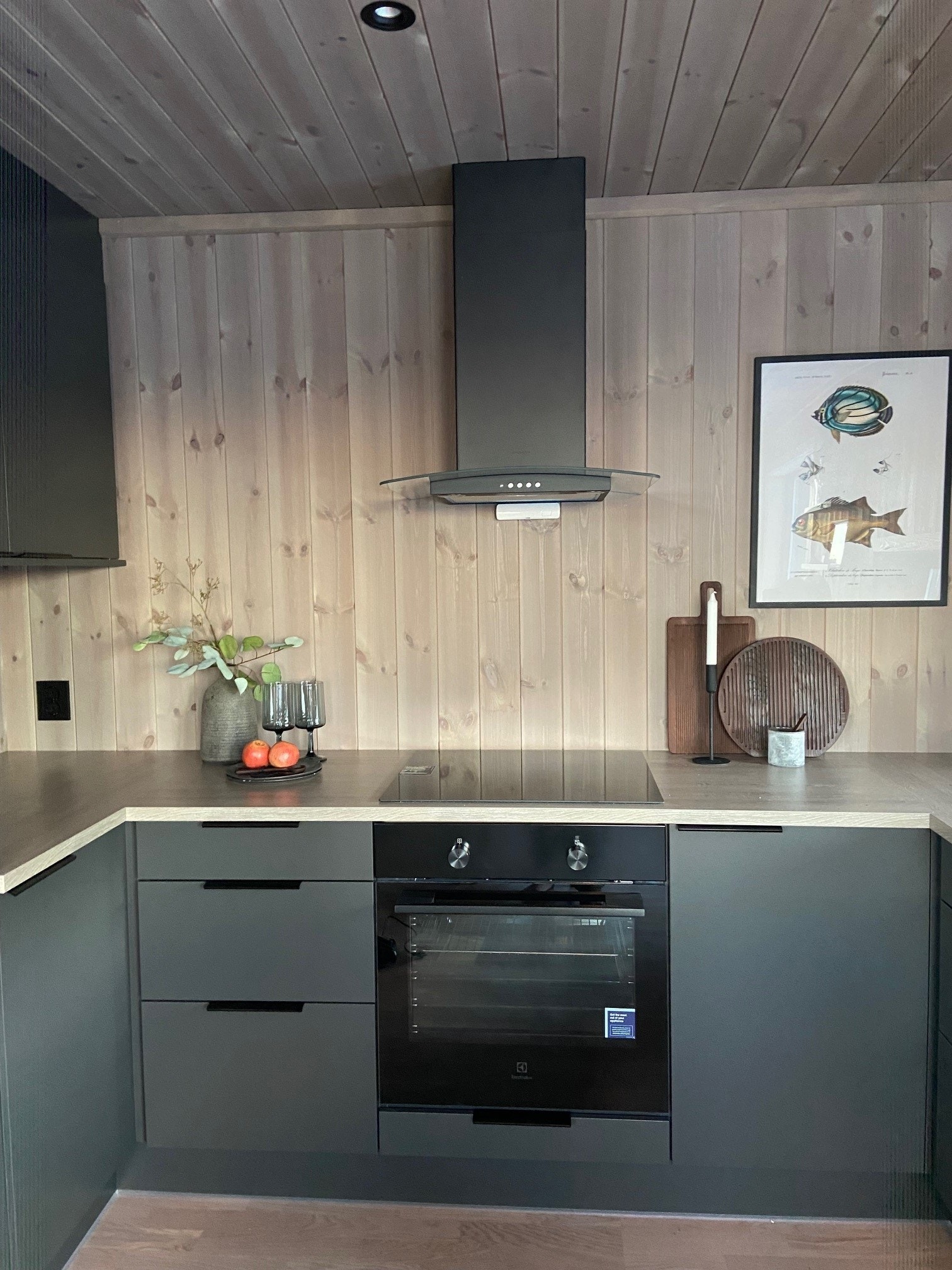 Bilde fra annen Rondane 100 hytte Galleribilde