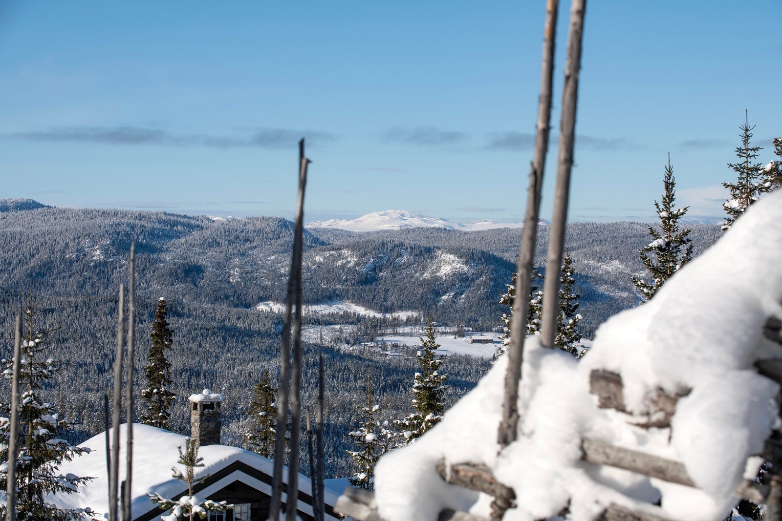 Flott innegjerdet uteområde. Galleribilde