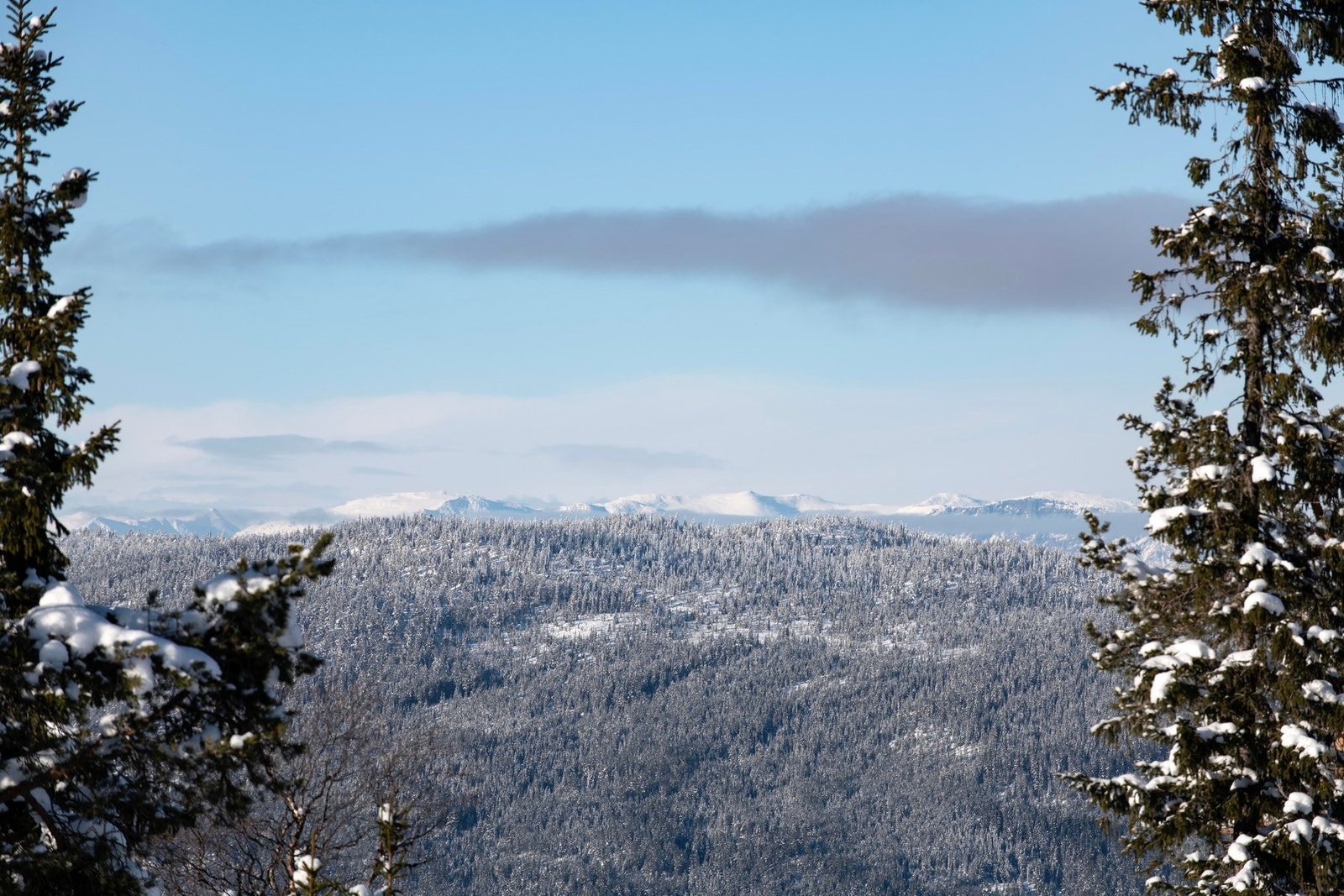 Utsikts bilde. Galleribilde
