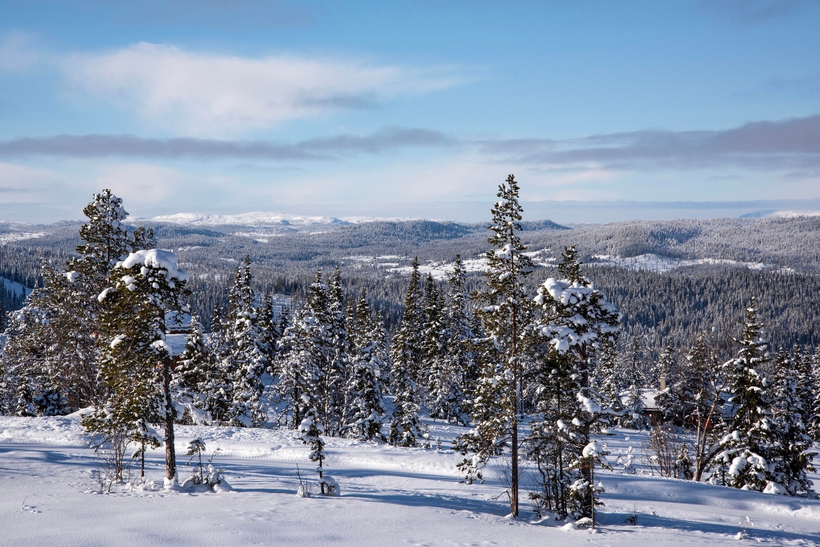 Utsikts bilde. Galleribilde