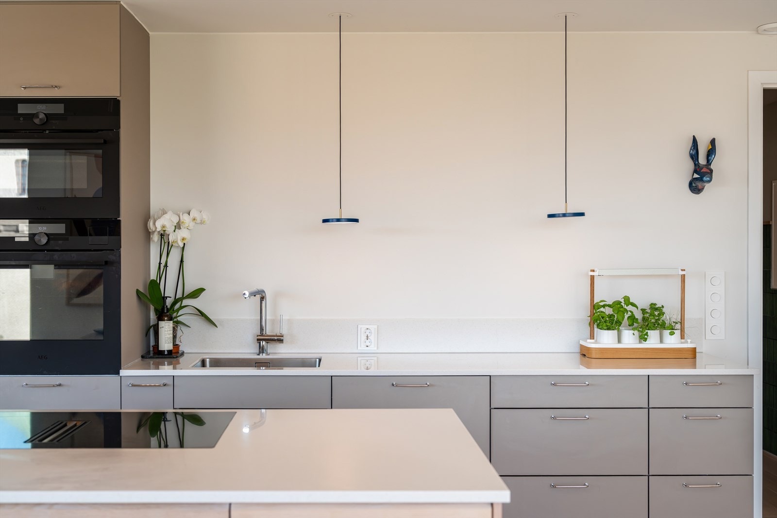 Integrerte kvalitetshvitevarer fra AEG, inkludert stekeovn med dampfunksjon, WIFI og kamera. Galleribilde