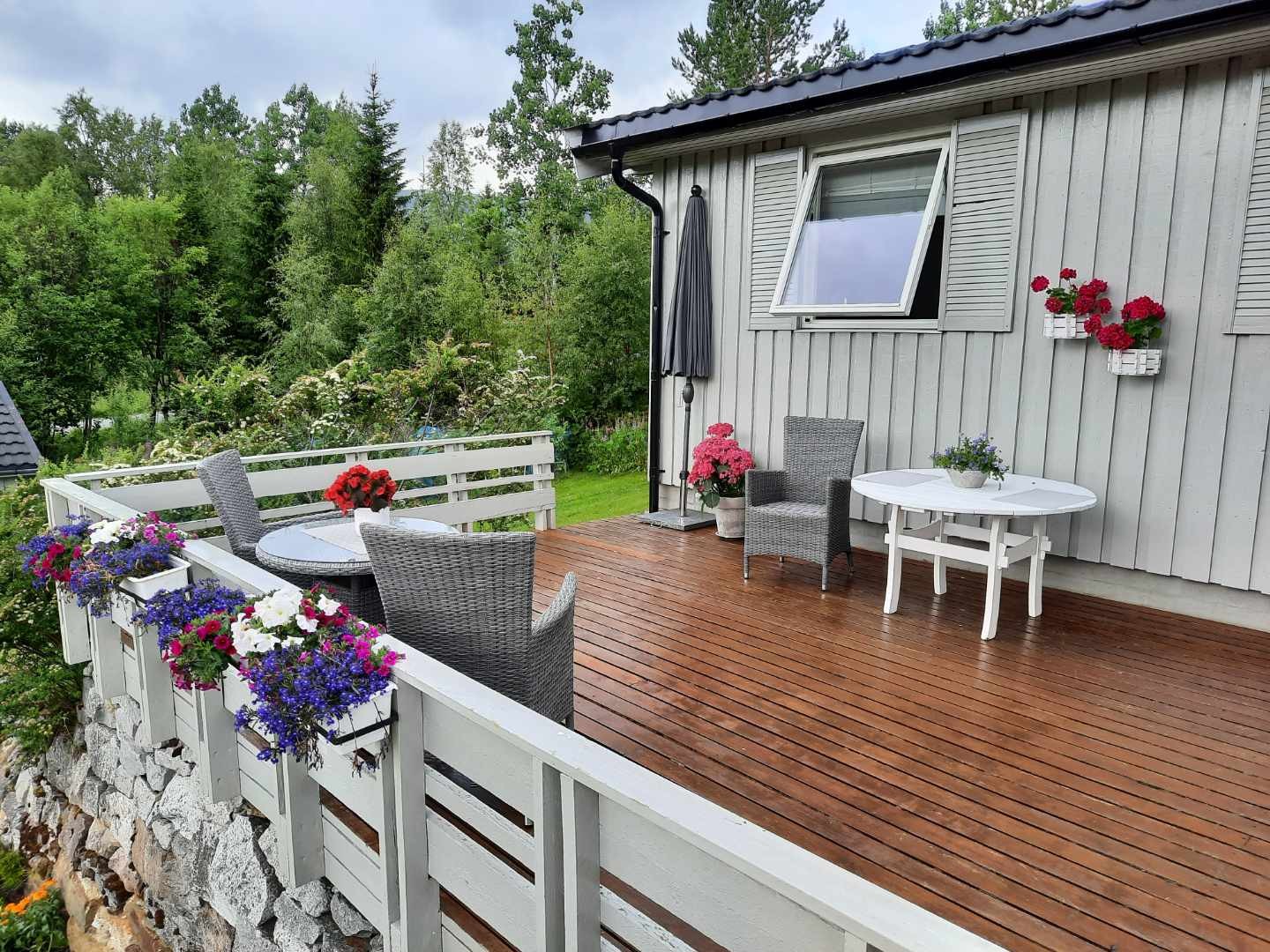 Sommerbilde fra selger. Galleribilde