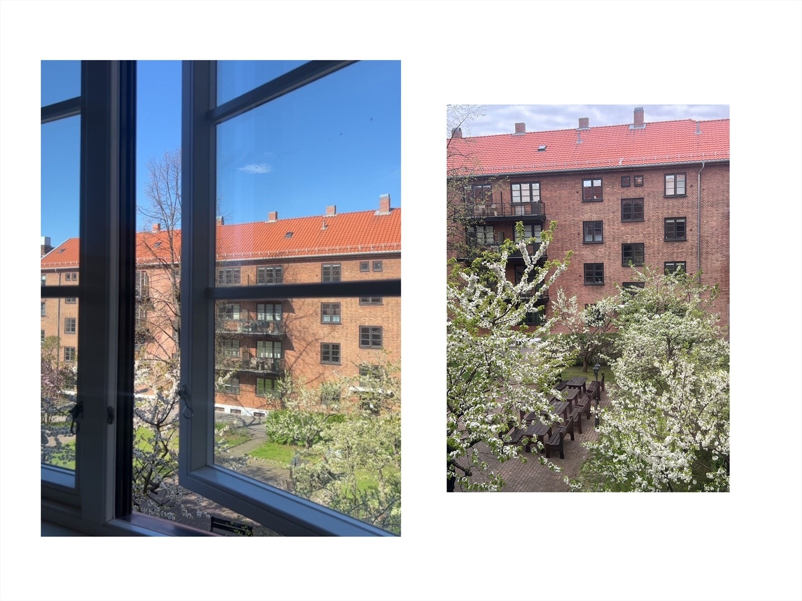 Utrolig hyggelig å våkne opp til denne utsikten fra soverommene om våren. Galleribilde