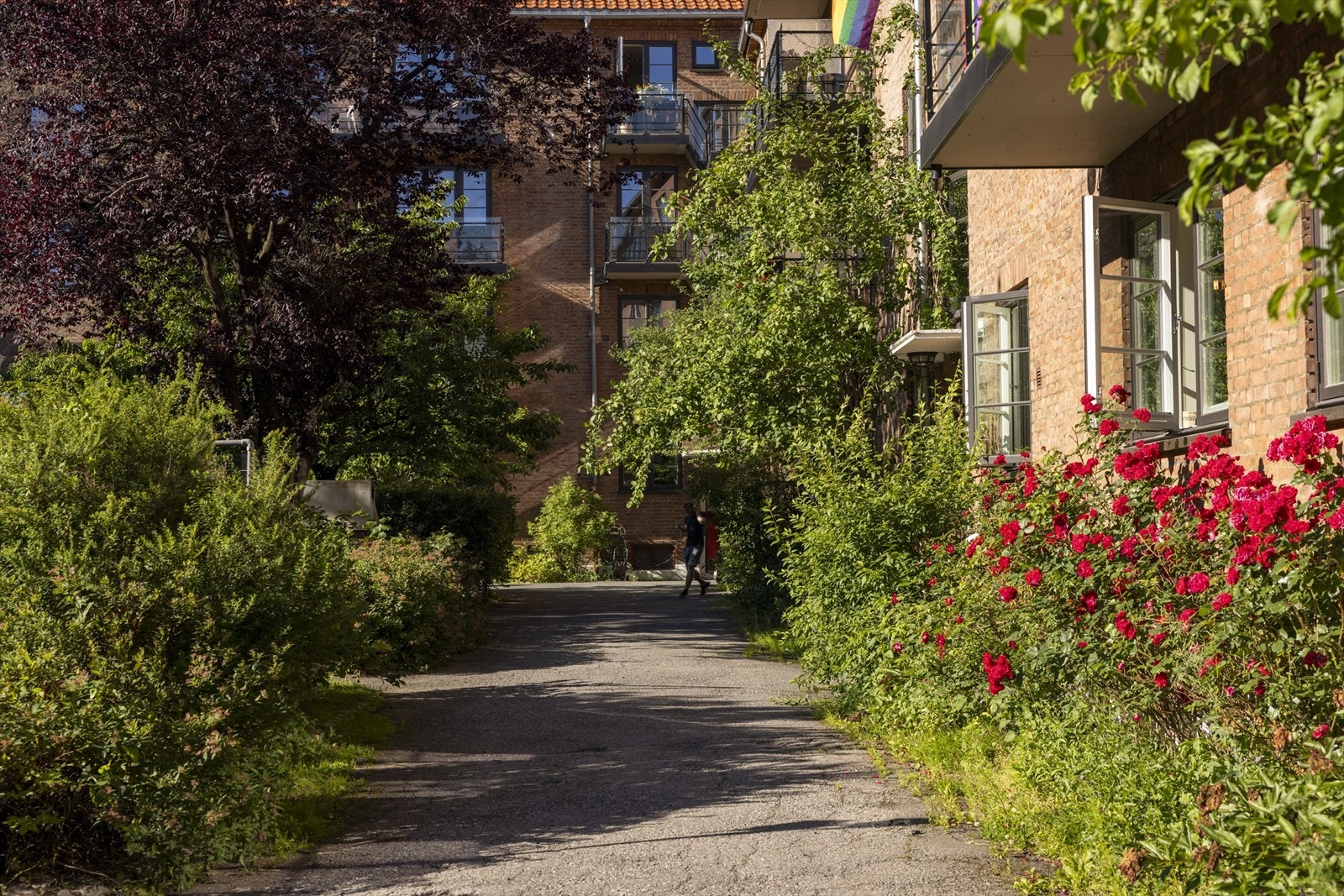 Dette er virkelig en frodig og grønn oase om sommeren. Galleribilde