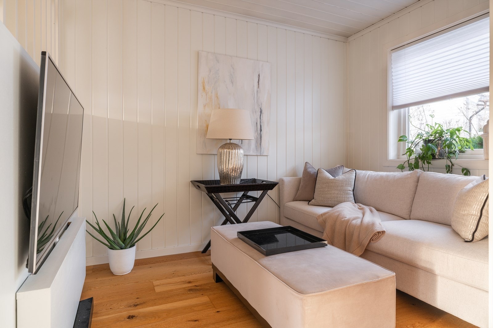 TV-krok med plass til sofa og mediamøbler. Galleribilde