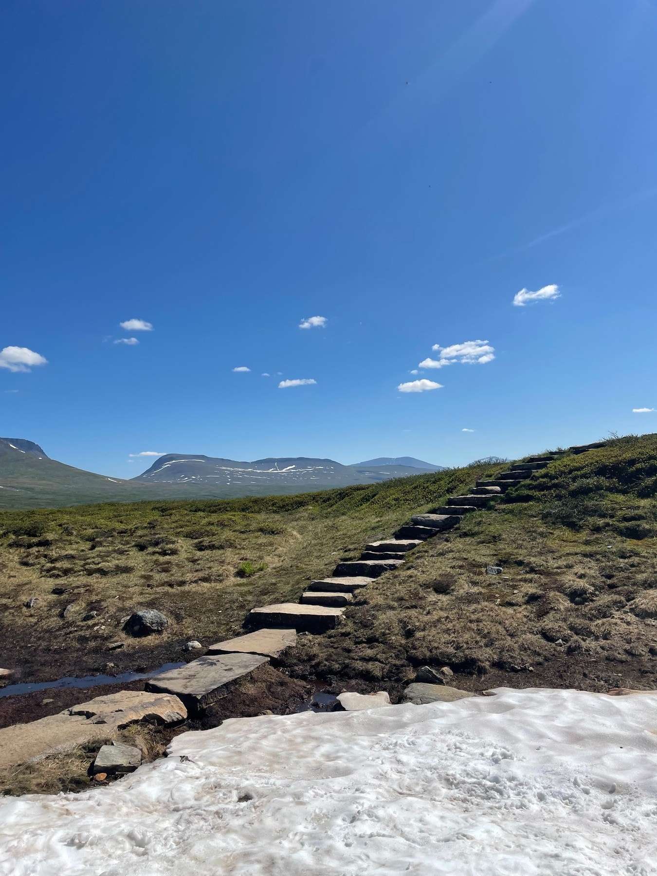 Selgers private sommerbilde. Galleribilde