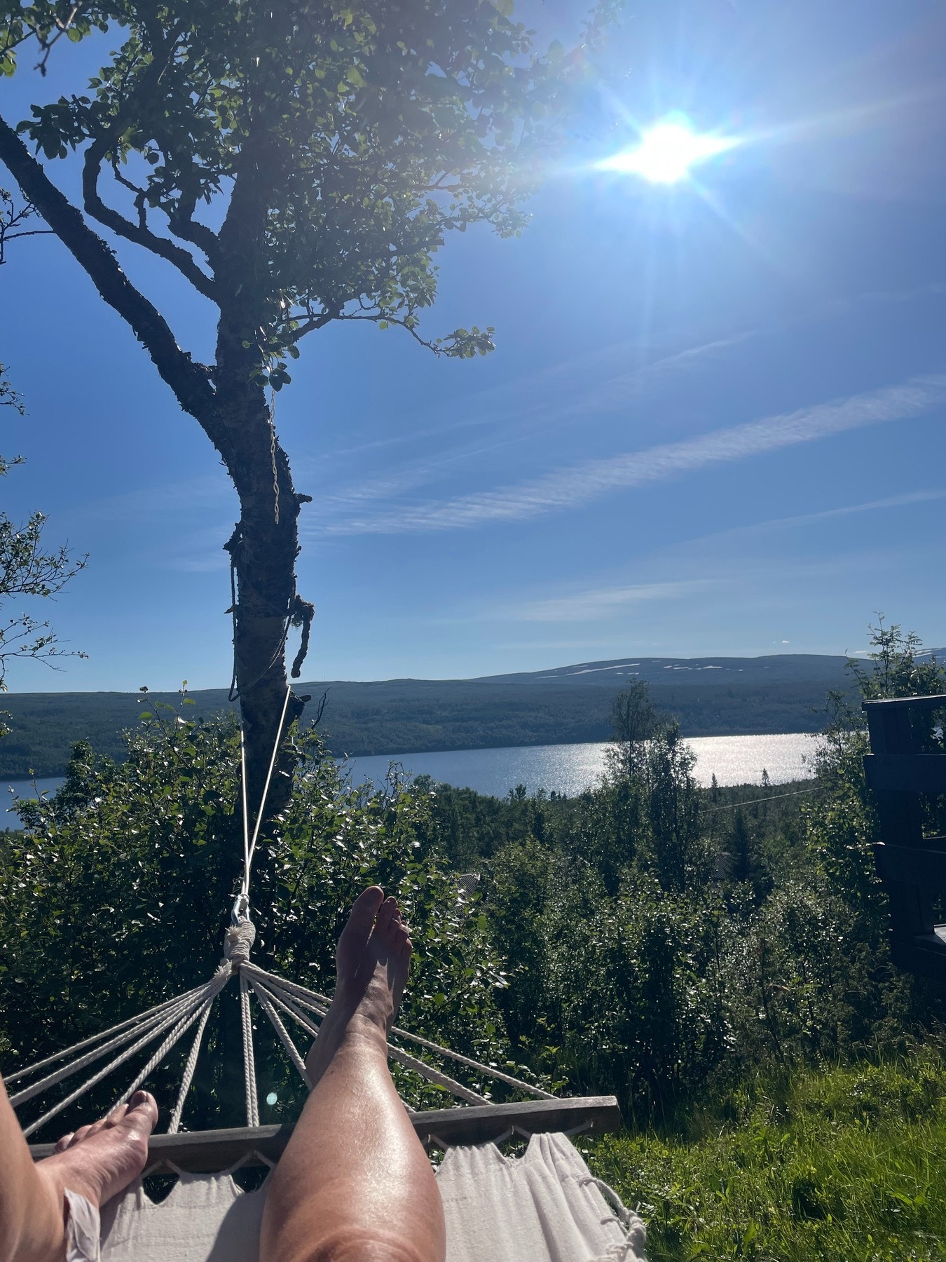 Selgers private sommerbilde. Galleribilde